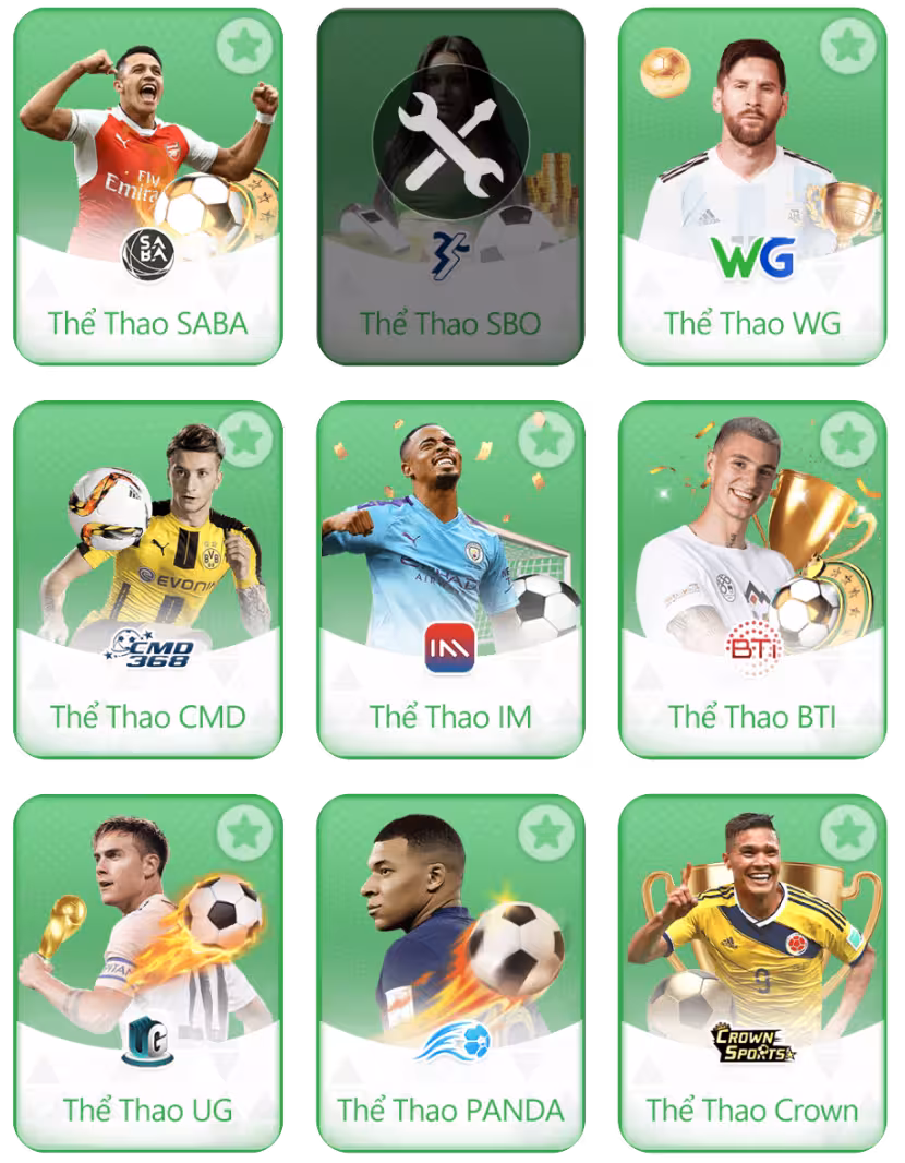 Thể thao 13win01